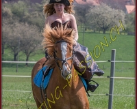 1AMAZONE- 0566